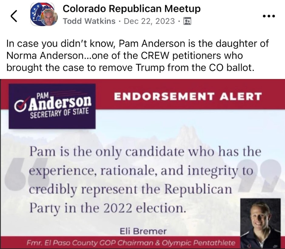 Eli Bremmer Supports Pam Anderson, Democrat Activist Posing as a Republican